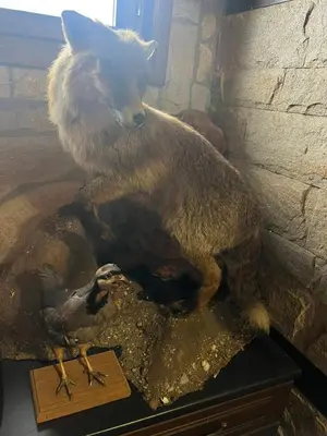 a statue of a cat and a bird on a table at Семеен хотел Звезда in Sŭdievo