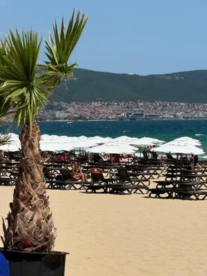 a palm tree on a beach with tables and umbrellas at Студия в Болгарии Солнечный берег in Sunny Beach