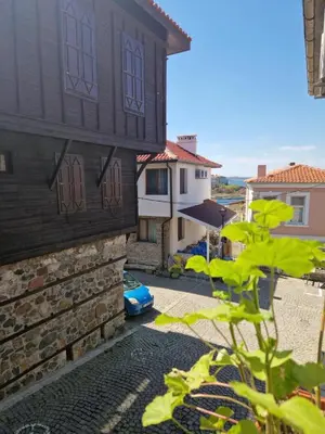 a view from the outside of a house with a plant at Apartament Magi in Sozopol