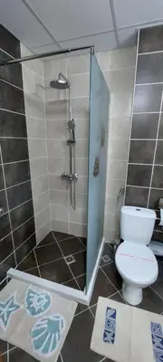 a bathroom with a shower and a toilet at Apartment Anna-Kalina in Obzor