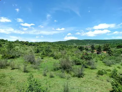 an overhead view of a field with trees and bushes at Hills view apartment in Sunny Beach