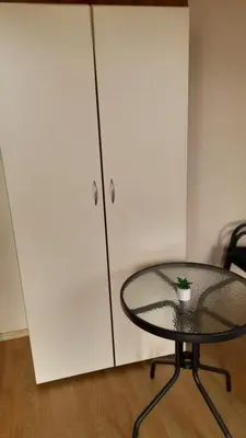 a table with a potted plant on it next to a cabinet at Guest House Sveti Vlas in Sveti Vlas