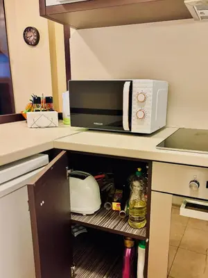 a microwave oven sitting on top of a kitchen counter at Sozopol Dreams Apart&FREE Parking in Sozopol