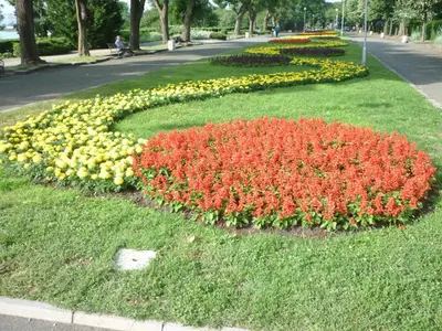 a circle of flowers in the grass in a park at Sea Garden Plaza Apartment - Free Parking in Burgas City