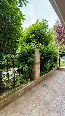 a fence with green plants on it next to a sidewalk at Слънчево Море in Nesebar