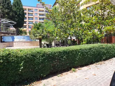 a green hedge in front of a building at Vigo apartment in Nesebar