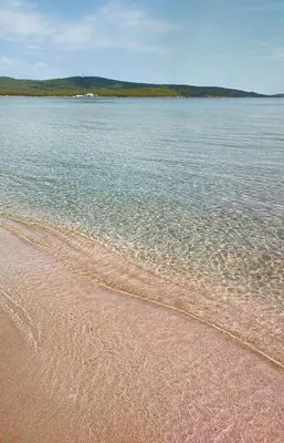 a beach with a body of water at Rita's - family apartment by the sea in Primorsko