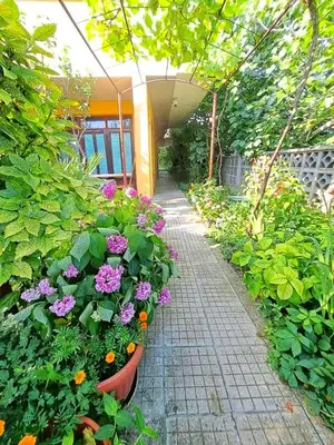 a garden with flowers and a walk way at Rita's - family apartment by the sea in Primorsko