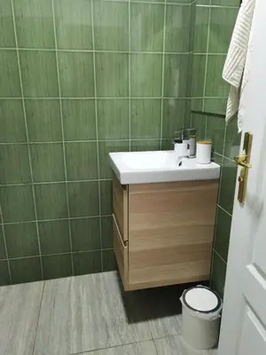a bathroom with a sink and a toilet at Вила Алба in Lozenets