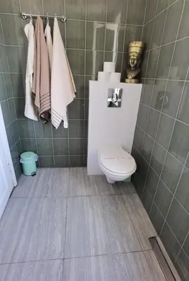 a bathroom with a toilet and towels on a wall at Вила Алба in Lozenets