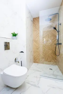 a bathroom with a toilet and a shower at Boulevard Hotel in Aytos