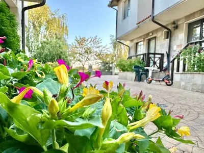 a group of yellow flowers in front of a building at Menada Imperial Heights Apartments in Sunny Beach