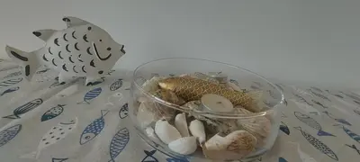 a glass container filled with shells on a table at Condo Santosha on the beach in Pomorie