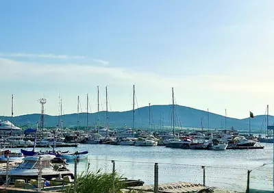 a bunch of boats are docked in a harbor at Polarstar Apartment in Sveti Vlas