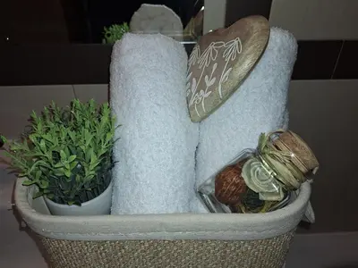 a basket with a couch and a plant in it at Arena I by the Sea in Sveti Vlas
