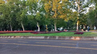 a street with a park with flowers and trees at Апартамент Плажен рай in Burgas City