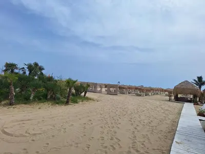 a sandy beach with palm trees and a pathway at Diamond by the Sea in Sveti Vlas