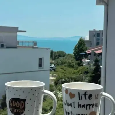 The better apartment