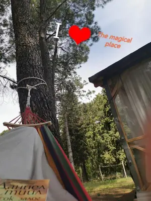 a red heart is flying over a tree at The magical place in Chernomorets