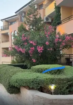 a blue frisbee in front of a building at Sveti Vlas, Paradise Dreams Apartment in Sveti Vlas