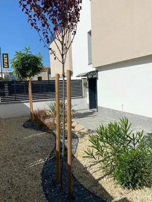 a couple of bamboo poles next to a tree at SEA SHELL Apartment in Sozopol