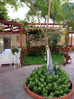 a garden with a tree in a bed of lettuce at Apartment Terrace under the stars in Primorsko