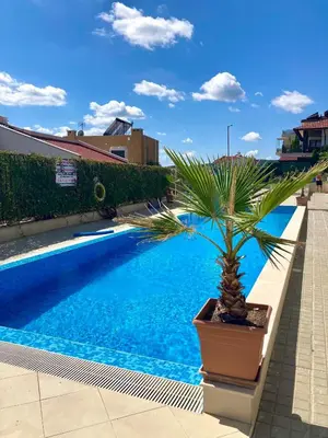 a palm tree in a pot next to a swimming pool at Apartments in Villas Apolon in Sozopol