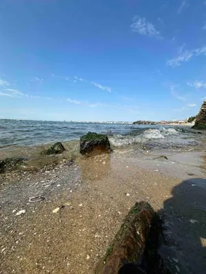 a beach with rocks and the ocean on a sunny day at Свети Влас комплекс Викторио in Burgas City