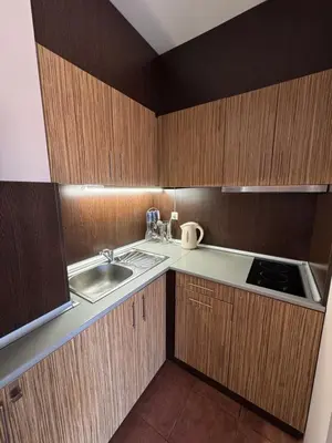 a small kitchen with wooden cabinets and a sink at VP Pacific 2 in Sunny Beach