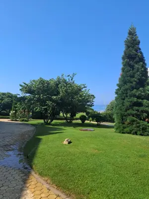 a grassy field with trees and a road at Yacht Port apartment #sea view# in Sveti Vlas