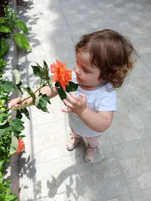a little girl holding a flower in her hands at Guest House ,, Ekaterina