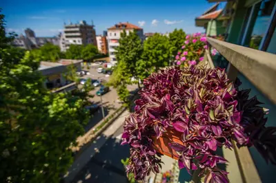 a pot of flowers hanging from a balcony at Guest House ,, Ekaterina