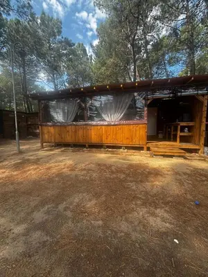 a wooden building in a field with trees at Каравана Мир in Chernomorets
