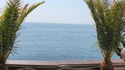 a view of the ocean through two palm trees at Tarsis nova slunchev Briak Apartament 08 A in Sunny Beach