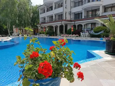 a pot of red flowers next to a swimming pool at Aura Blu Studio in Sunny Beach