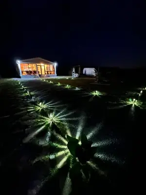 a field with lights in front of a building at night at Морски Бриз in Lozenets