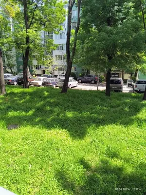 a grassy area with trees and cars in a parking lot at Accommodation apartment MARGARITA in Burgas City