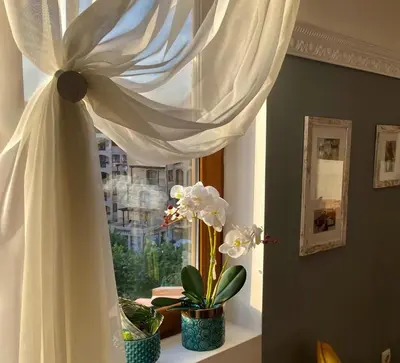 a window with white curtains and a plant on a window sill at Kasandra Apart Hotel in Sunny Beach