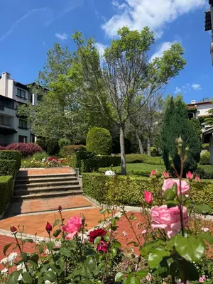 a garden with pink flowers and bushes at Casa Oasis Lozenets in Lozenets