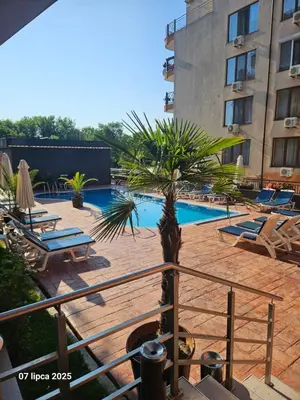 a palm tree sitting next to a swimming pool at Cacao Residence in Sunny Beach