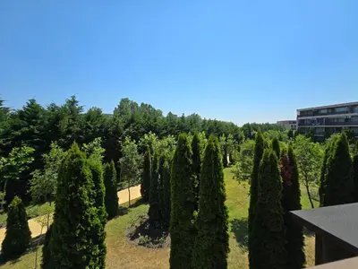 a row of cypress trees in a park at Orchid Fort Garden in Sunny Beach