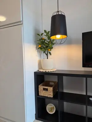 a black table with a potted plant and a lamp at Dream Life Sozopol in Sozopol
