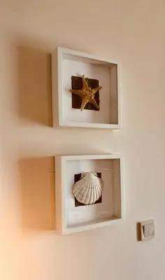 a starfish and a shell in two white boxes at Blue Bay House in Nesebar