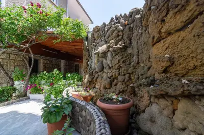 a stone wall with potted plants next to a building at Atlantic Complex Ravda in Ravda