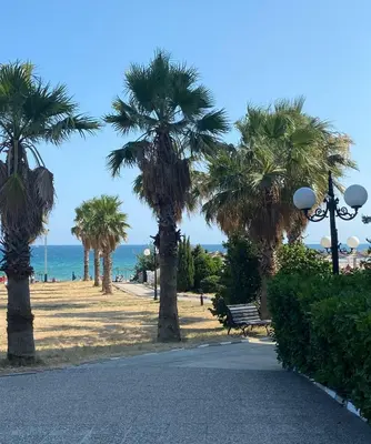 a path with palm trees and a bench on the beach at Apartment 300m from private beach VILA ROMANA Royal Castle in Sveti Vlas