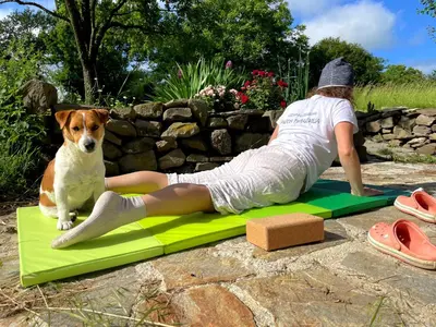 a woman laying on a green mat with a dog at Villa Suhodol