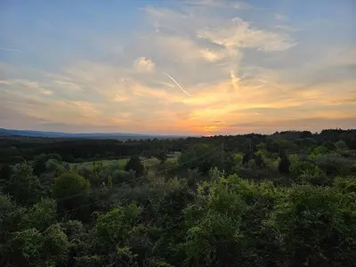 an aerial view of a forest with a sunset at The white flat in Byala