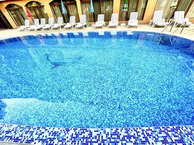 a dolphin swimming in a large swimming pool at Sunny Sea - Menada Apartments in Sunny Beach