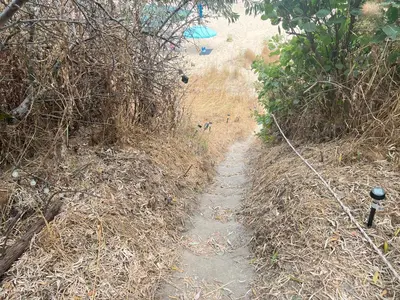 a dirt path in a field with a blue umbrella at Палатка на Кара Дере in Byala