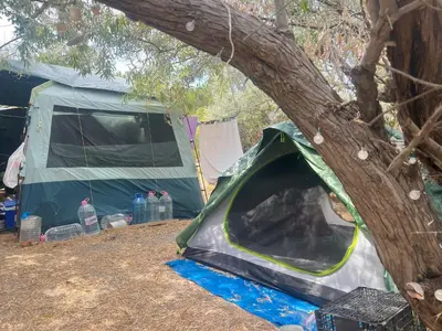 a tent is set up next to a tree at Палатка на Кара Дере in Byala